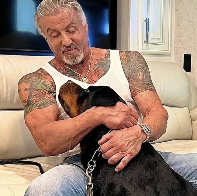 The actor with his pet pooch, Dwight. Credit: @officialslystallone/Instagram