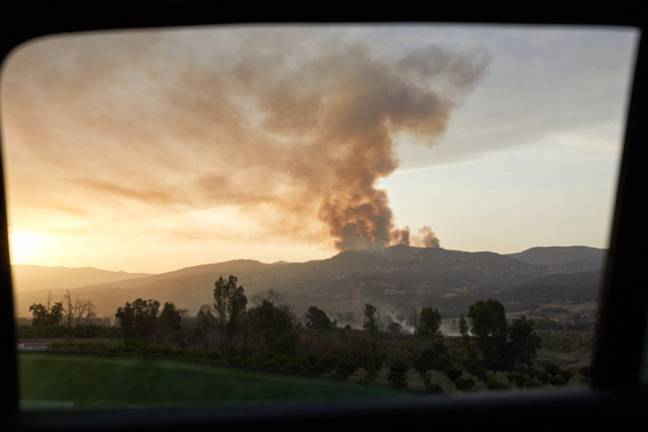 Algeria was struck by a series of devastating wildfires. Credit: Abaca Press / Alamy Stock Photo