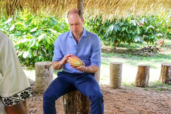 Prince William at Che'il Cacao Farm and Chocolate Factory (Credit: Alamy)