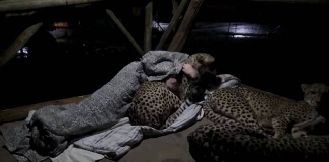 Not your average sleepover. Credit: Dolph C. Volker/YouTube