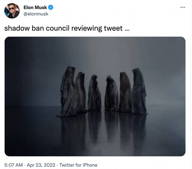 Elon Musk received mixed responses to his post. Credit: Elon Musk/Twitter