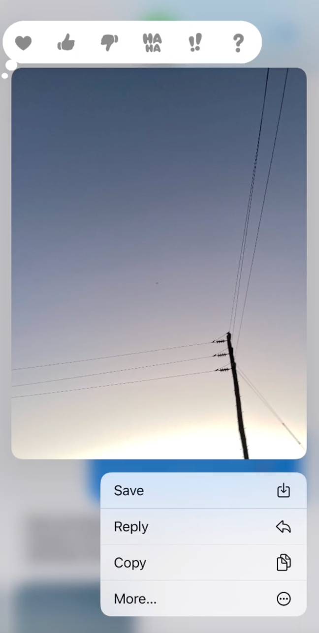 Neoma was shocked to discover the plane in the picture was being flown by her boyfriend. Credit: TikTok/@neomafernando