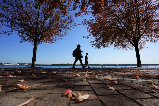 Irving also used going for a walk as an example of a moderately engaging activity. Credit: The Canadian Press/Alamy Stock Photo