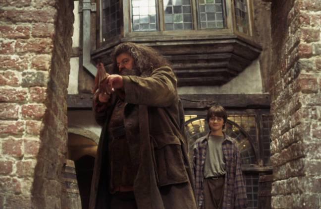 Daniel Radcliffe filmed dozens of scenes with the late Robbie Coltrane during their time working together on the Harry Potter franchise. Credit: Warner Bros
