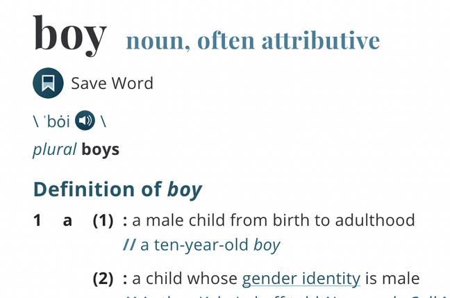 Merriam-Webster defines boy as someone whose 'whose gender identity is male'. Credit: Merriam-Webster