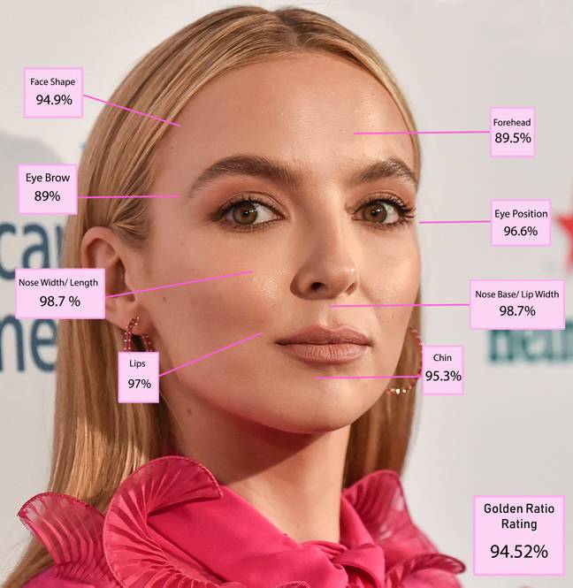 The Killing Eve star was found to be 94.52% accurate to the physical perfection calculation. Credit: Dr Julian De Silva