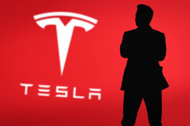 Elon Musk silhouette with Tesla logo. Credit: 
