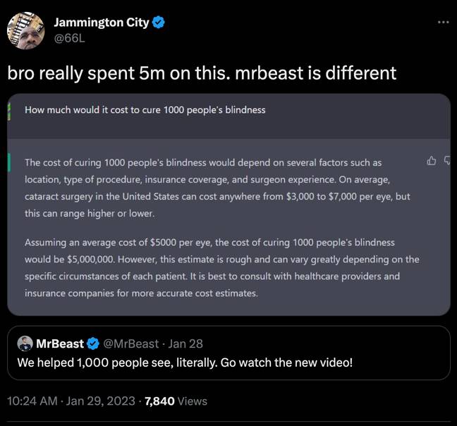 MrBeast likely spent around $5 million giving 1,000 people their sight. Credit: @66L/ Twitter