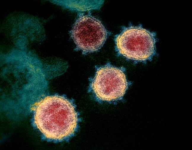 The coronavirus pandemic is not yet over (Alamy)