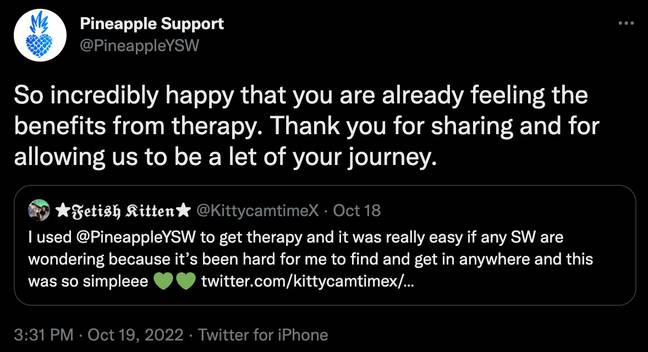 Pineapple Support offers mental health help to performers. Credit: @PineappleYSW/ Twitter