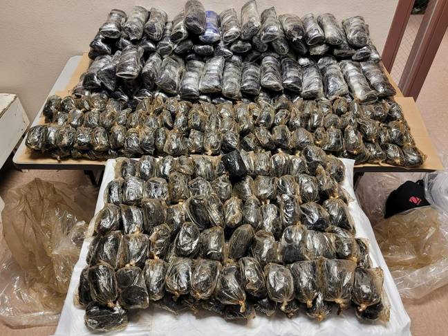 US Border Patrol agents uncovered enough fentanyl to kill more than 42 million people. Credit: US Customs and Border Protection