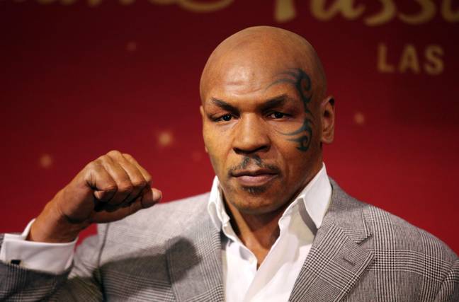 Mike Tyson has only just begun his fighting comeback. Credit: Alamy