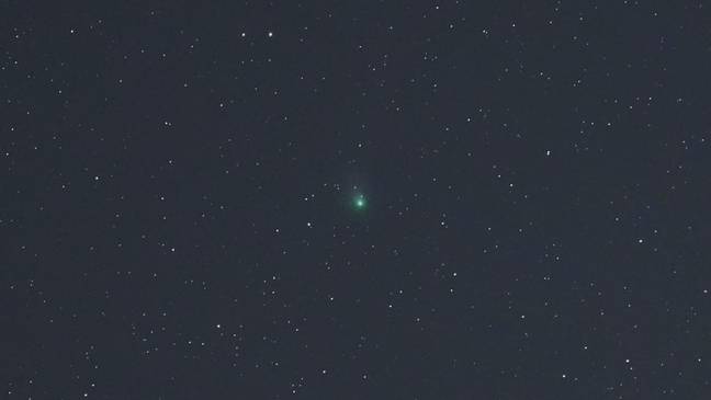The comet is recognisable thanks to its green coma. Credit: dpa picture alliance / Alamy Stock Photo