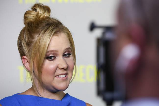 Actor and comedian Amy Schumer. Credit: Alamy
