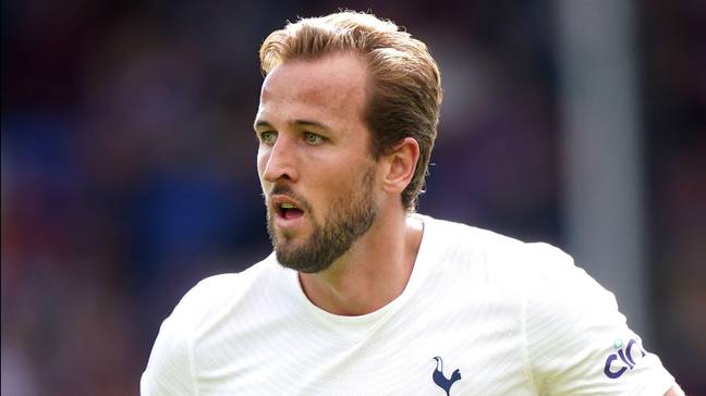 City were heavily linked with a swoop for Harry Kane last summer (Alamy)