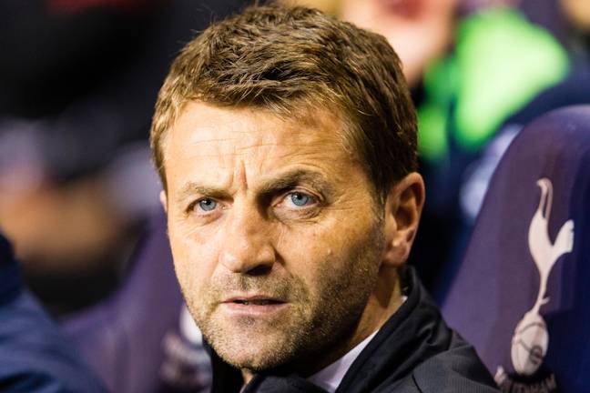 Dyche claims Sherwood and Spurs wanted £7m for Kane (Image: Alamy)