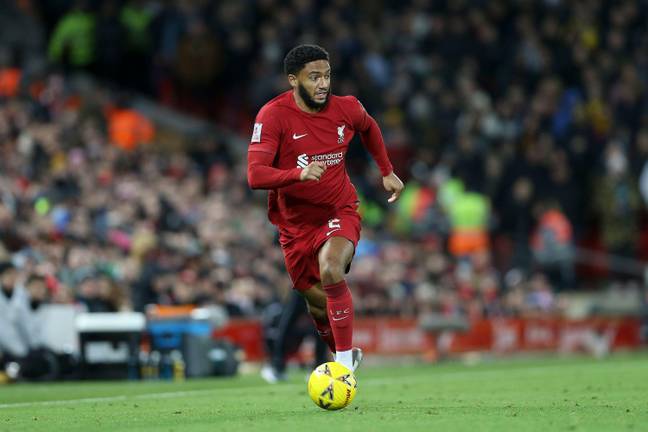 Liverpool defender Joe Gomez was ruthlessly criticized for his performance against Brighton.  Credit: Alamy