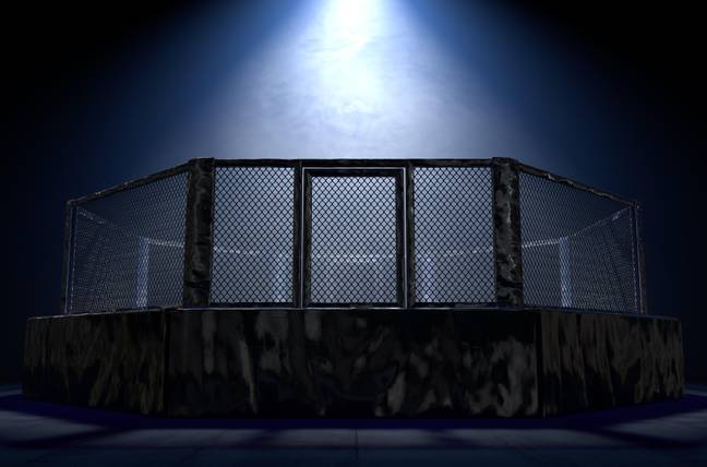 The fighters took to the cage blindfolded. Image Credit: Alamy