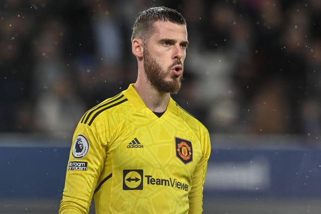 De Gea has been with United since 2011 (Image: Alamy)