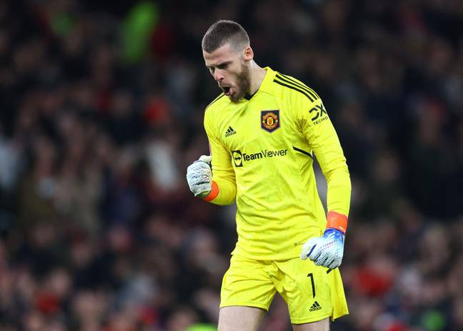 De Gea is currently in the form of his life. (Image Credit: Alamy)