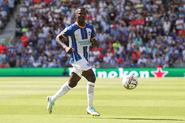 Caicedo would be the second Brighton player to switch the AMEX for the Emirates this month.  (Image credit: Alamy)