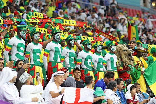 Senegal fans inside the Al Bayt Stadium. (Image Credit: Alamy)