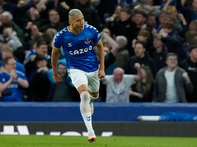 Richarlison scored important goals at the end of the season to keep the club up. Image: Alamy