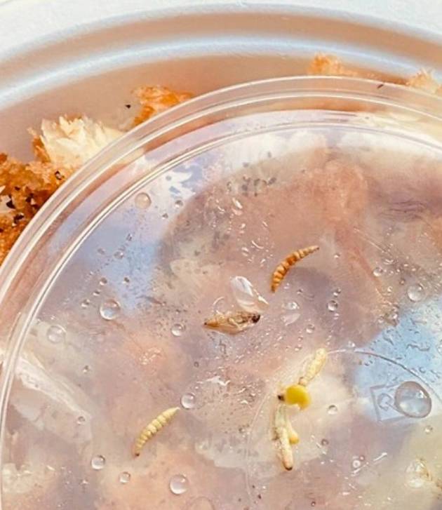 Maggots have reportedly been found in meals. Credit: Twitter/Mohammad Joy Miah