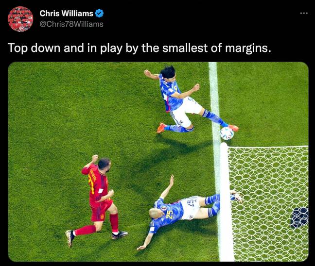 This angle seems to suggest that the ball was JUST in play. Credit: Twitter/@Chris78Williams