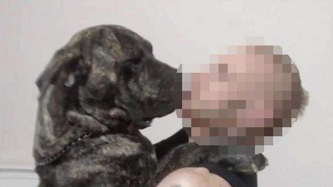 The father and the dog in question. Credits: 7News.