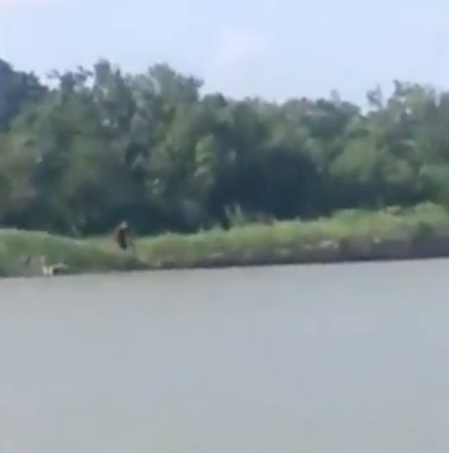 Could this be Bigfoot? Credit: Disclose Screen/YouTube