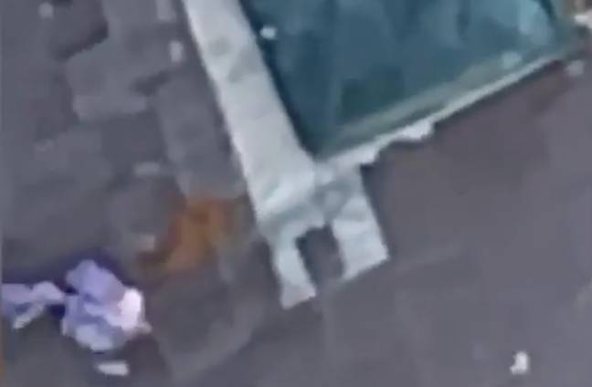 A plastic bag full of a construction worker's poo splatted on the roof of a nearby building. Credit: @viralclipsirl/ TikTok