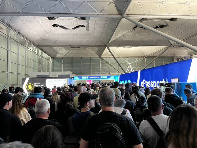 The anonymous baggage handler has described the chaos as 'mentally and physically' tiring. Credit: Twitter