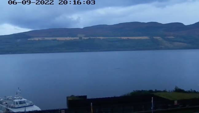The new webcams mean the possibilities for new sightings are endless. Credit: Eoin Fagan/Visit Inverness Loch Ness