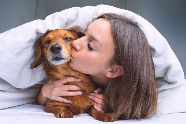 Experts have warned dog owners about sleeping with their pets. Credit: Alamy
