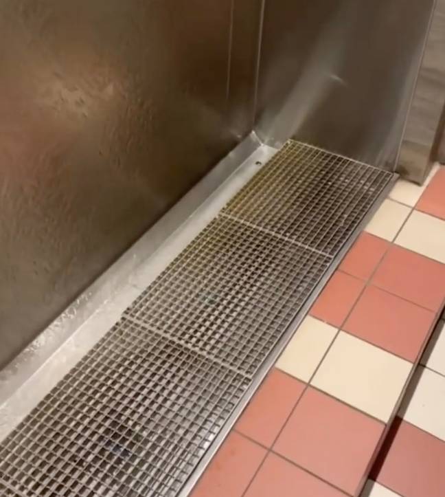 Tourist left at a complete loss trying to use Swedish urinals