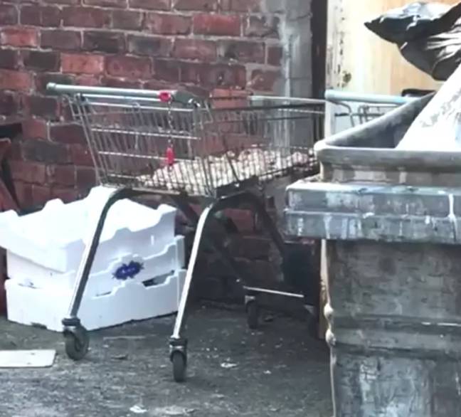 Raw meat was being kept outside in a shopping trolley. Credit: suZeSport/Twitter