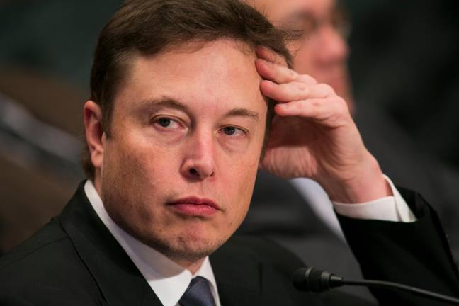 &quot;Oh no, my money!&quot; - Elon Musk, probably. Credit: Kristoffer Tripplaar / Alamy Stock Photo