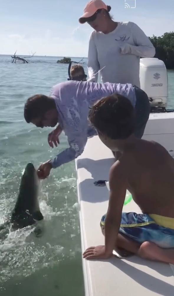 The shark suddenly latched onto his finger as he tried to remove the hook. Credit: TikTok/@reedermandyy