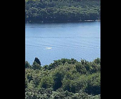 Nessie was supposedly spotted by a local resident. Credit: Official Loch Ness Monster Sightings Register