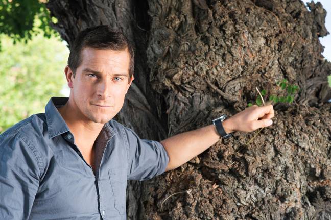 Grylls also recommends a cold shower to get you up and in a positive headspace in the mornings. Credit: PAUL GROVER/ Alamy Stock Photo