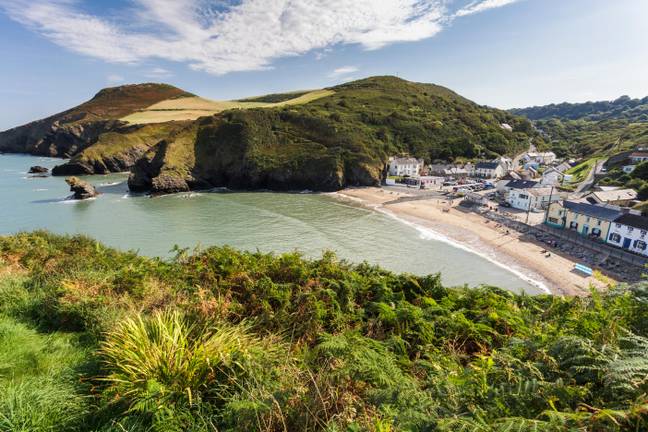 The fine was issued at a car park in Llangrannog in Wales. Credit: Heidi Stewart / Alamy Stock Photo