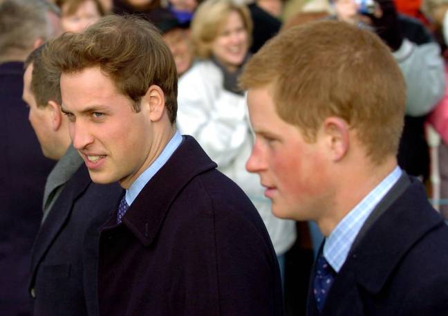 Prince William and Prince Harry pictured in December 2005. Credit: PA Images / Alamy Stock Photo