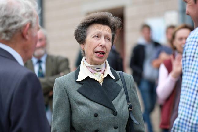 Princess Anne could be one of the royals who doesn't get ushered out. Credit: Steven May / Alamy Stock Photo