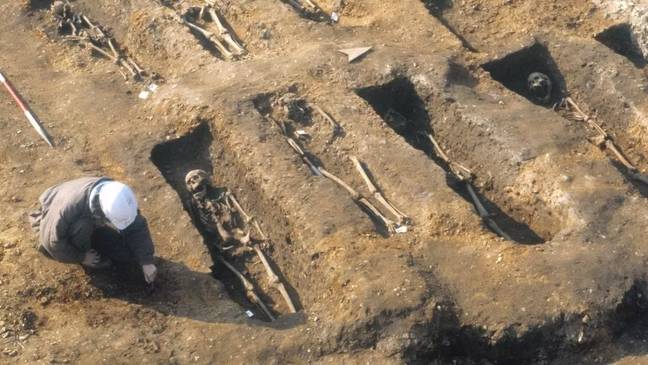 The scientists dug up plague pits to find their subjects. Credit: Museum of London