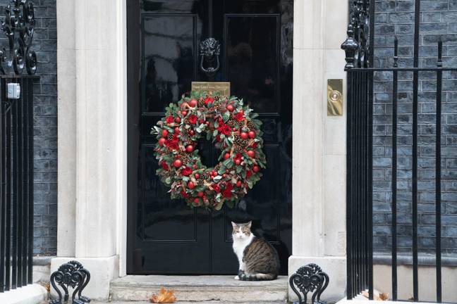 Speculation about an alleged party at Downing Street last year has overshadowed the announcement. Credit: Alamy