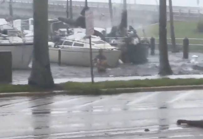 This man risked it all for his four-legged friend. Credit: Twitter/@WFLA/NewsNation