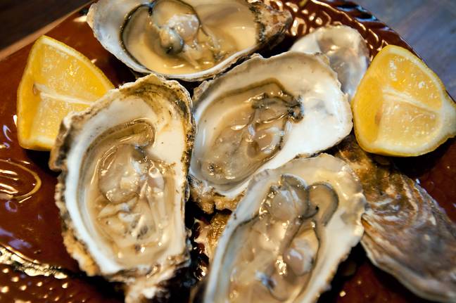 The customer was the only one to get ill after eating the oysters. Credit: City Image/Alamy Stock Photo