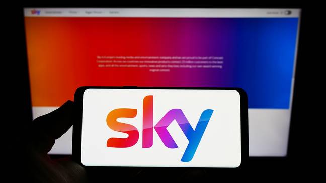 Powell's boxes allowed people to watch Sky TV without payment. Credit: Alamy/Timon Schneider
