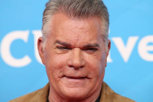 Ray Liotta has passed away at the age of 67. Credit: Alamy